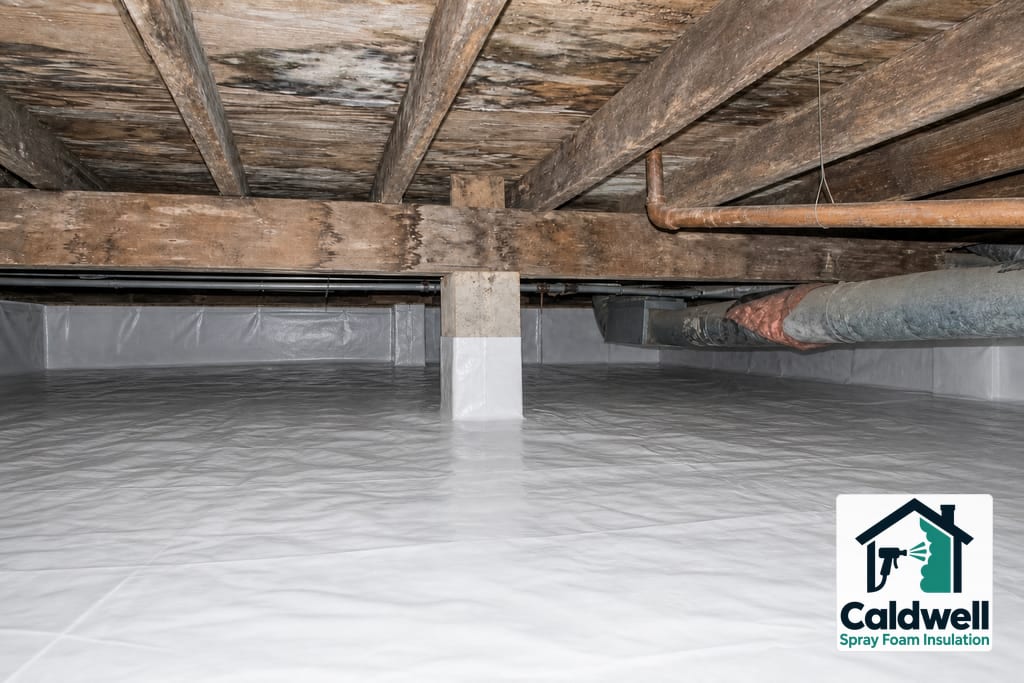 Crawlspace Encapsulation and Insulation photo