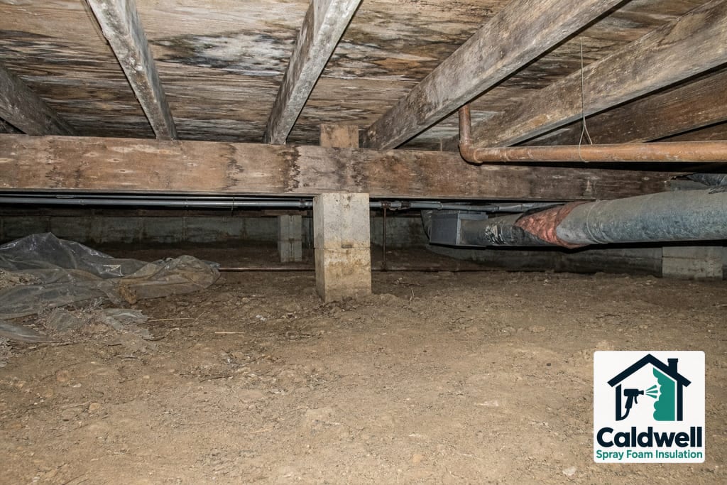 Crawlspace Encapsulation and Insulation photo